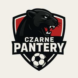 Czarne Pantery