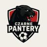 Czarne Pantery