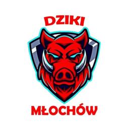 Dziki Młochów